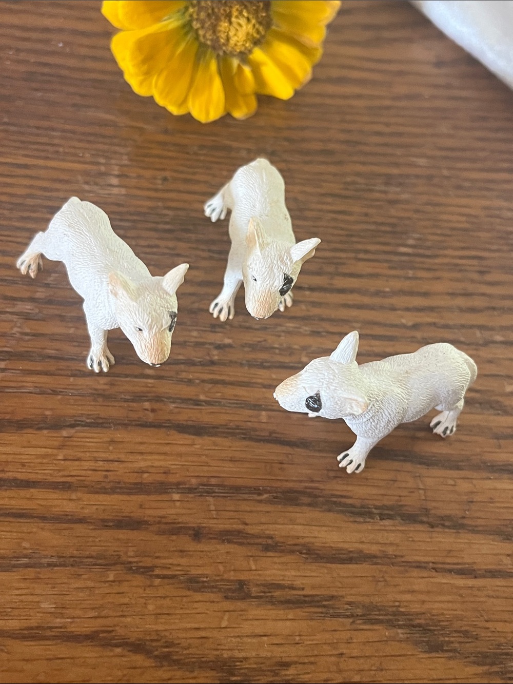Wing may bull terrier dogs Toy - Set of 3